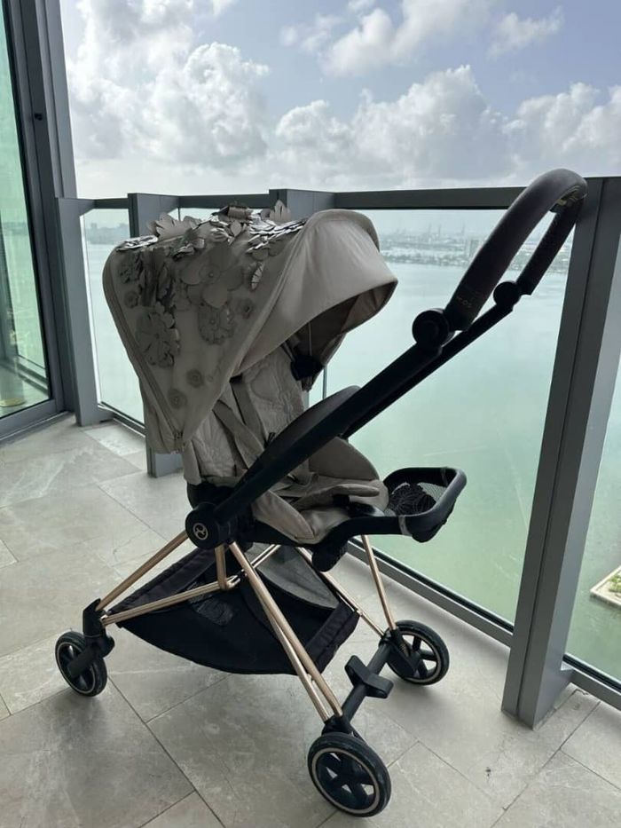 Poussette Cybex - photo numéro 6