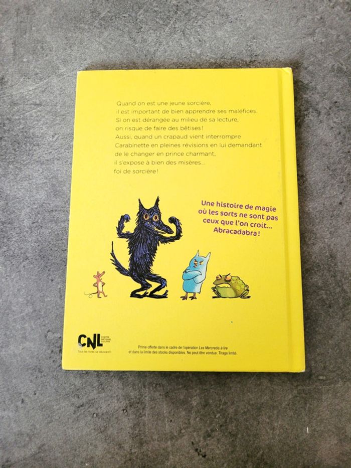 Livre Carabinette - photo numéro 2