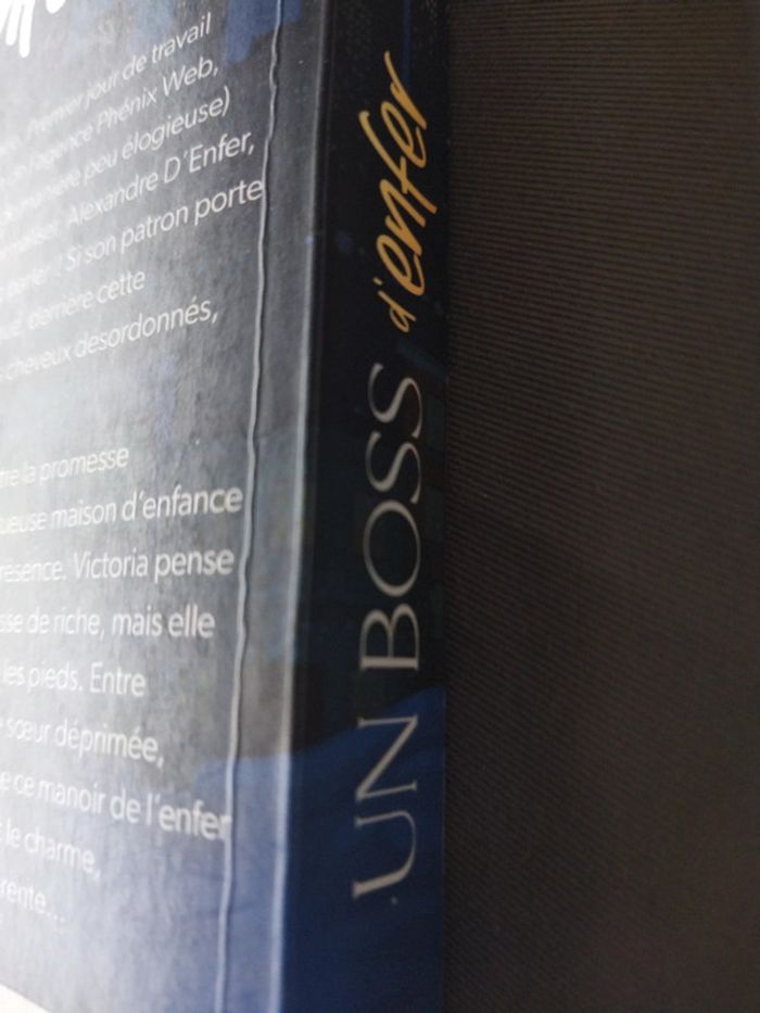 Un boss d'enfer - photo numéro 3