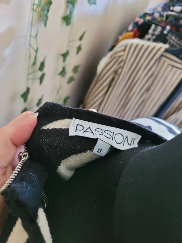 pull passioni 42 - photo numéro 3