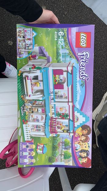 lego friend 41314