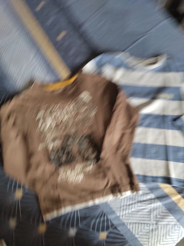 Lot de 2 tee-shirts Rider 5 ans - photo numéro 2