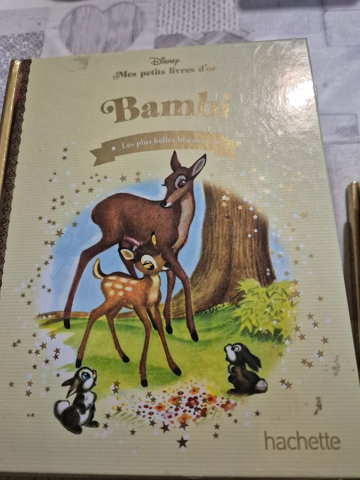 Livre disney - photo numéro 6