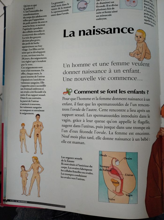 Ma premiere encyclopédie  edition lito - photo numéro 2