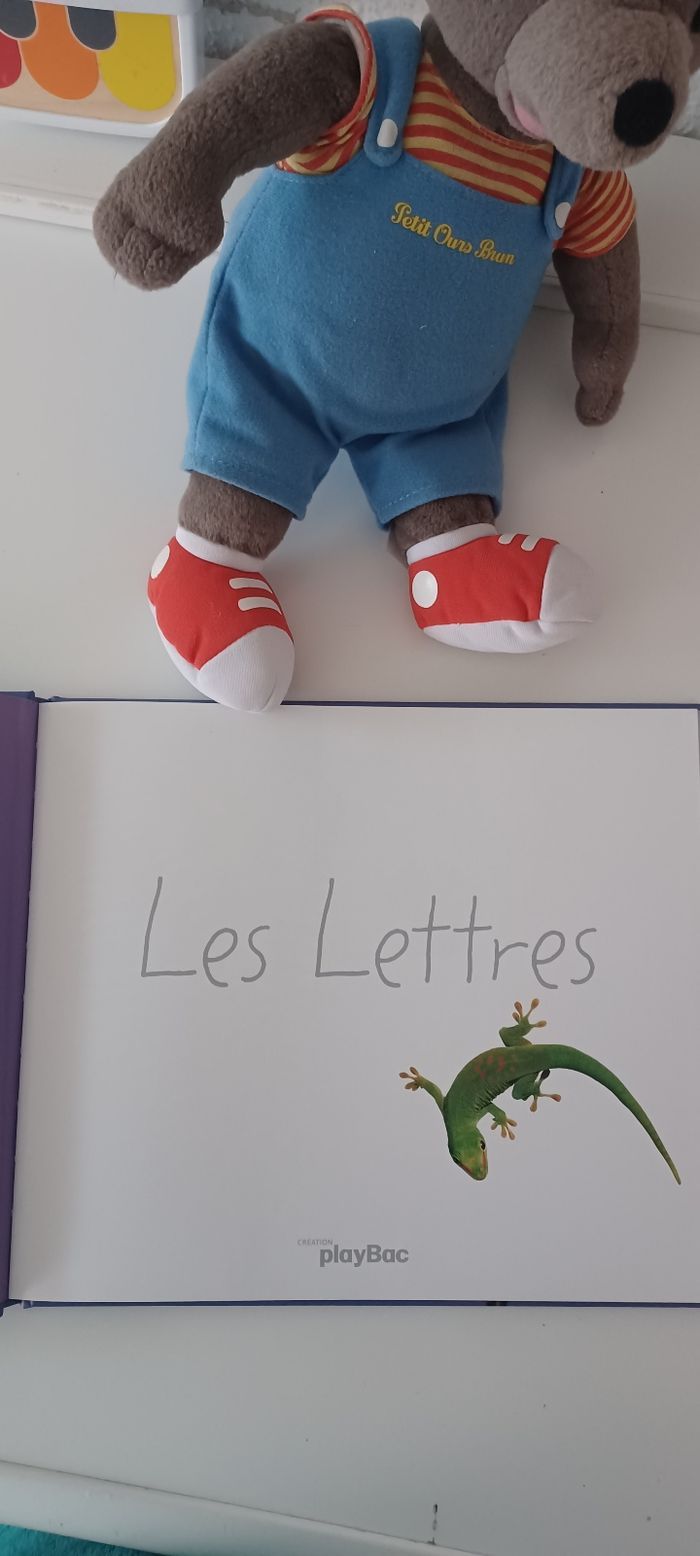 Livre les lettres neuf. - photo numéro 2