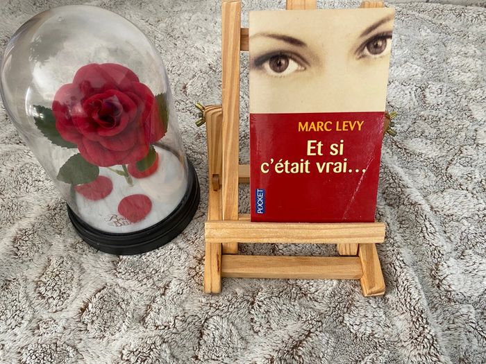 Livre et si c’était vrai de Marc Levy