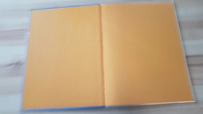 Livre N'aie pas peur ! Je suis là - photo numéro 2