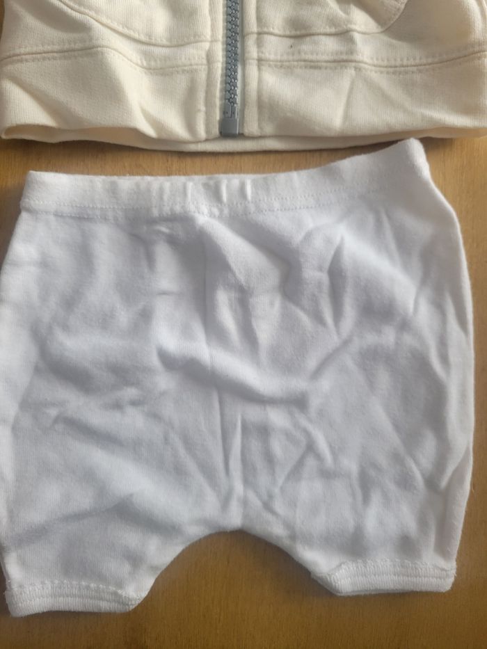 Gilet - photo numéro 4