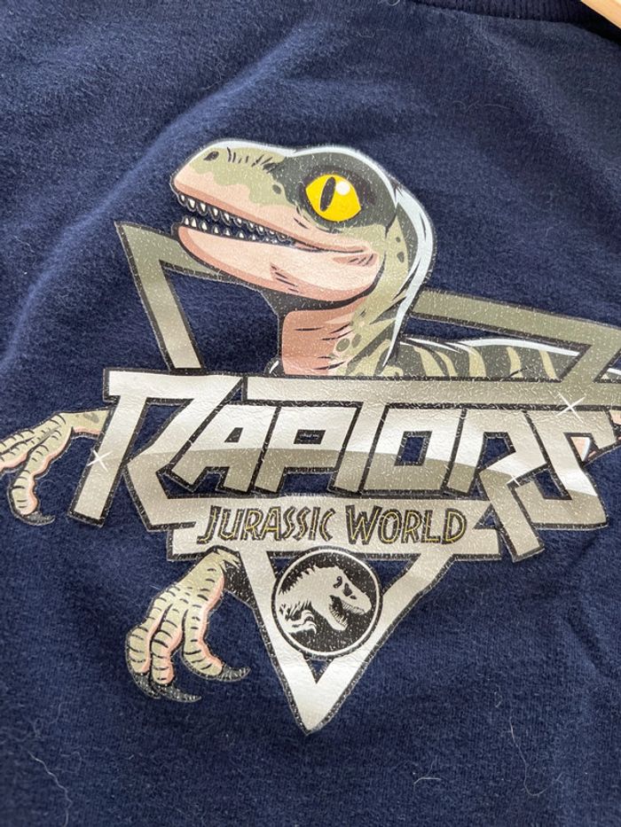 Sweat dinosaure - photo numéro 2