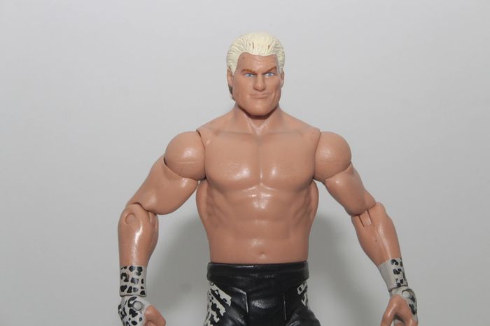 Figurine Dolph Ziggler - WWE 2010 - photo numéro 2