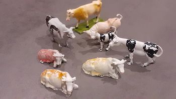 Lot vaches