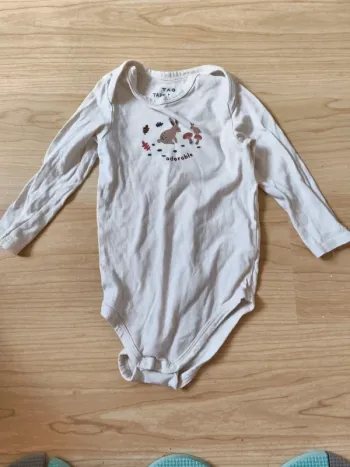 Body lapin