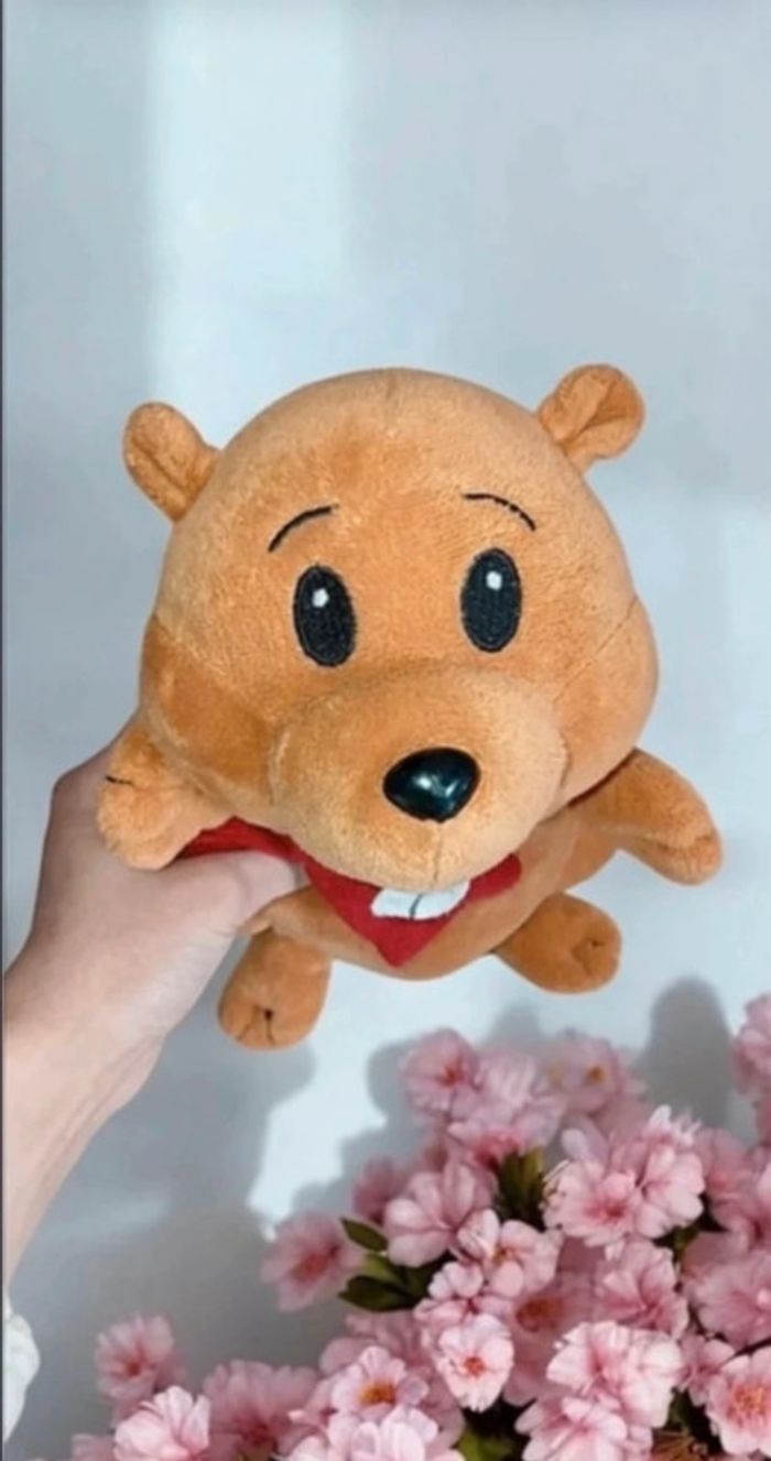 🎀 Peluche Castor🎀