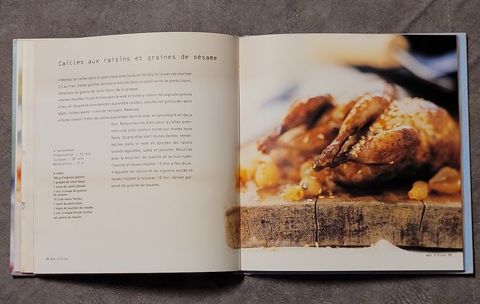 Eloge Du Wok. 40 Recettes Savoureuses Pour Tous Les Jours Laurence Du Tilly - photo numéro 3