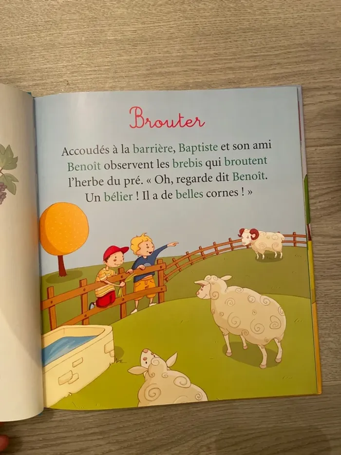 Livre L’alphabet de la ferme - photo numéro 3