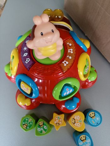 Coccinelle de formes 