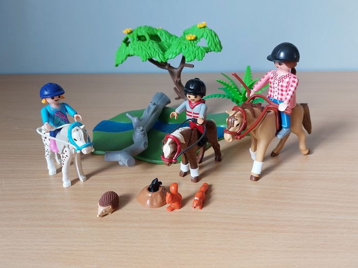 Playmobil équestre - photo numéro 5