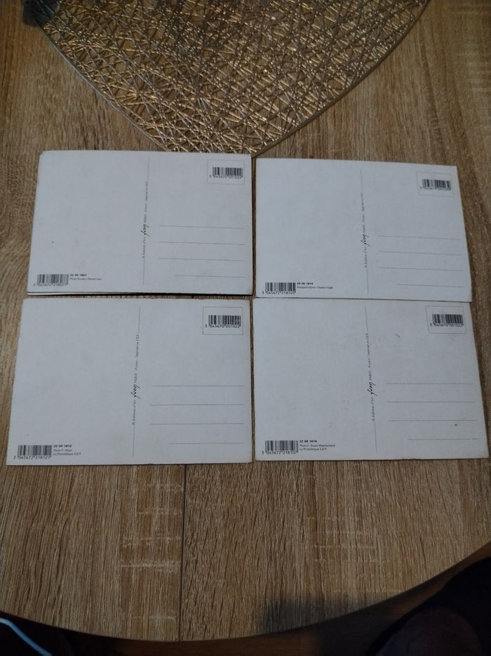 Carte postale Singe - photo numéro 2