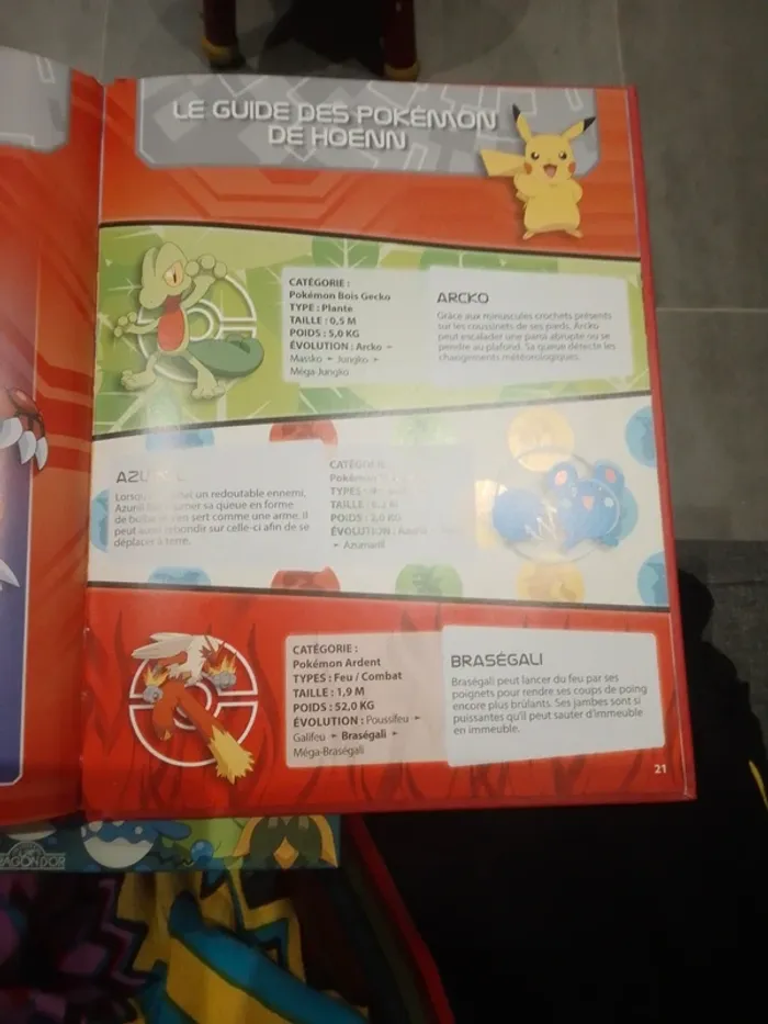 Livre enfant - Cherche et Trouve - Pokémon à Hoenn - photo numéro 6