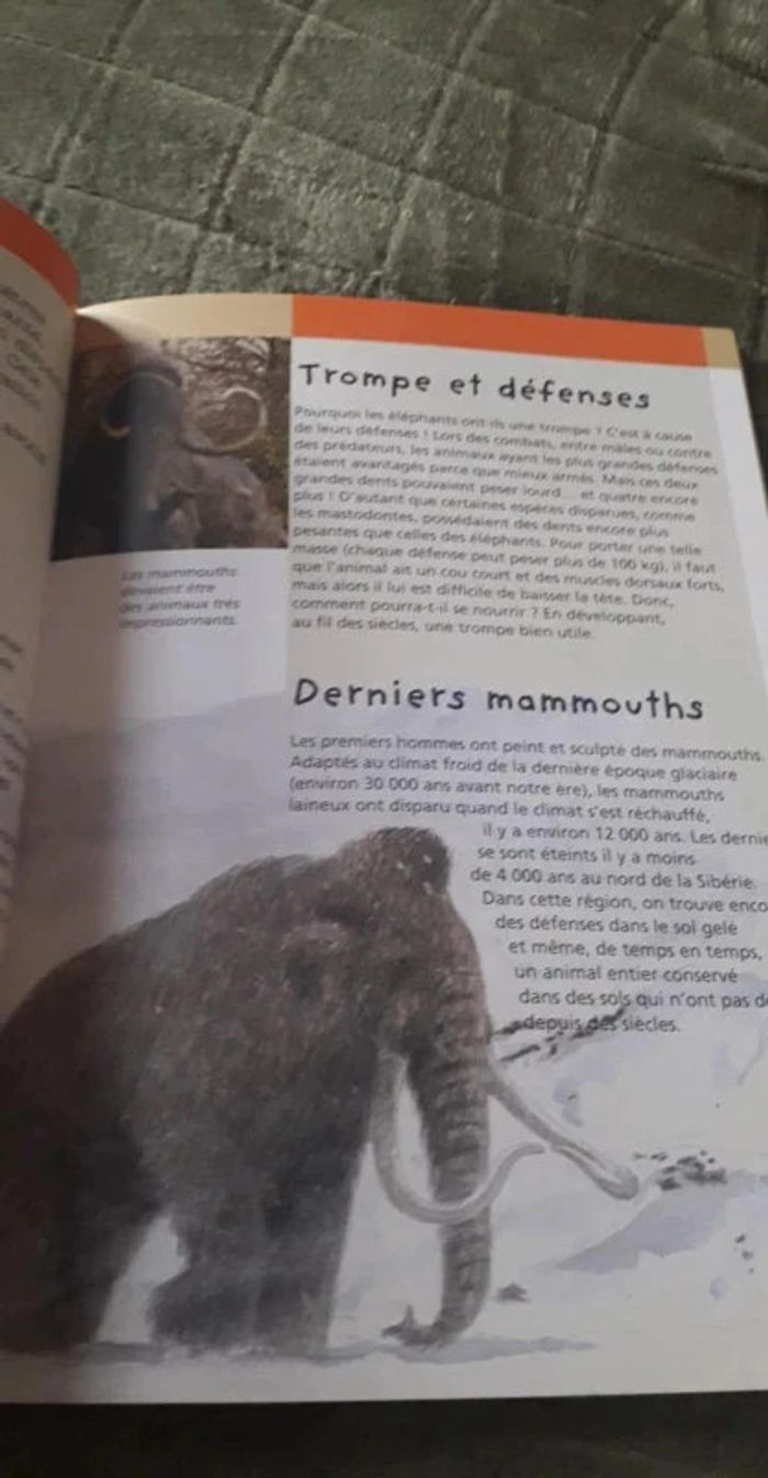 Superbe lot d' ouvrages animalier / Le Tigre / L' éléphant / Jeunesse. - photo numéro 9