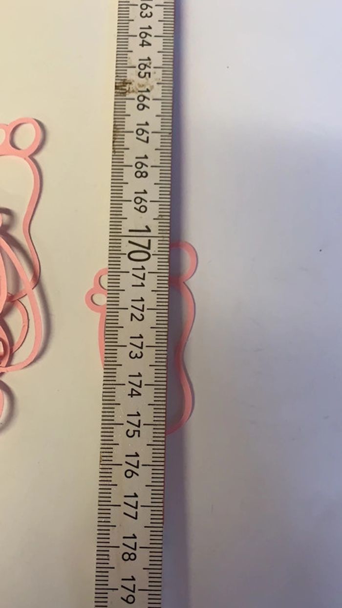 Scrapbooking 35 pieds roses - photo numéro 3