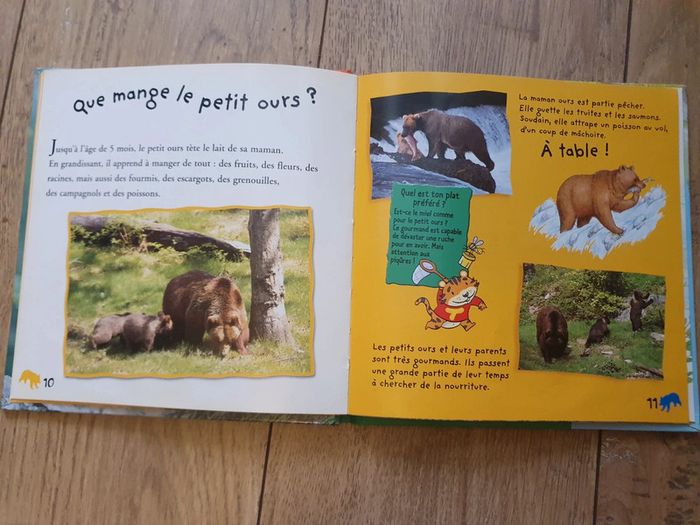 Le petit ours et Perdus dans la forêt - photo numéro 7