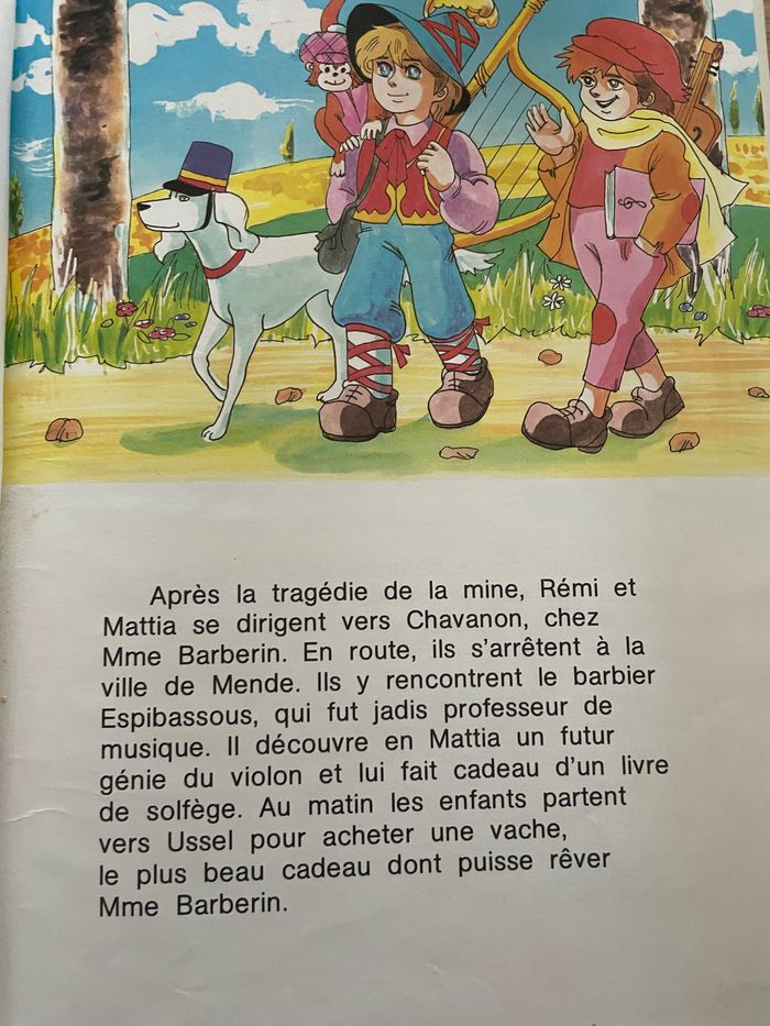 Livre Rémi sans famille - photo numéro 4