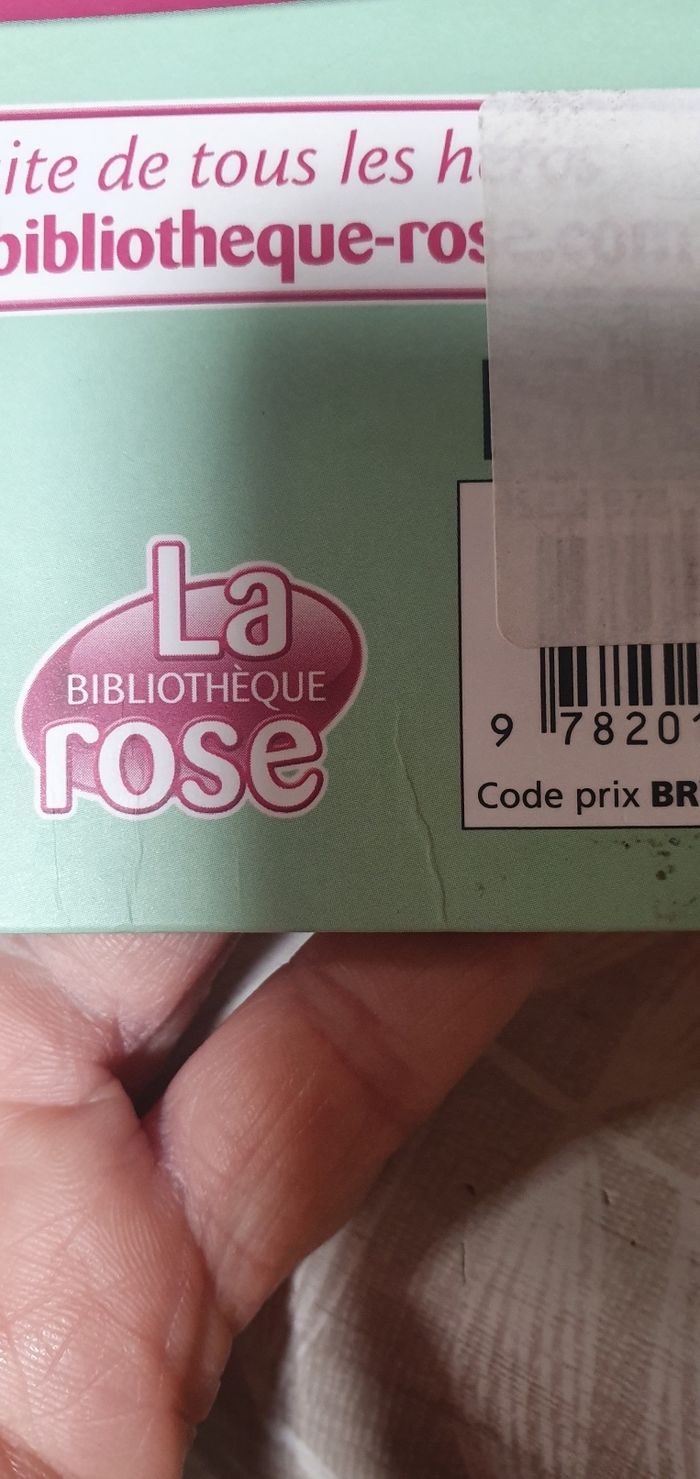 Le ranch un cheval très spécial - photo numéro 4