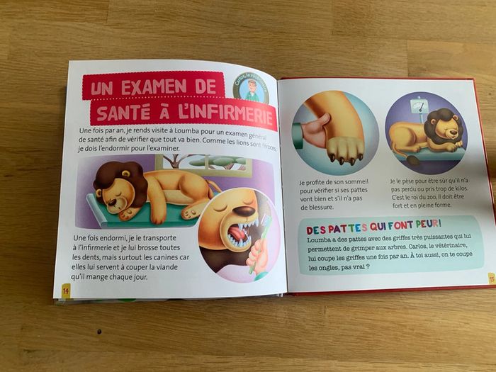 Livre et figurine Loumba le lion - photo numéro 5