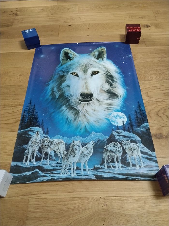 Poster de loup