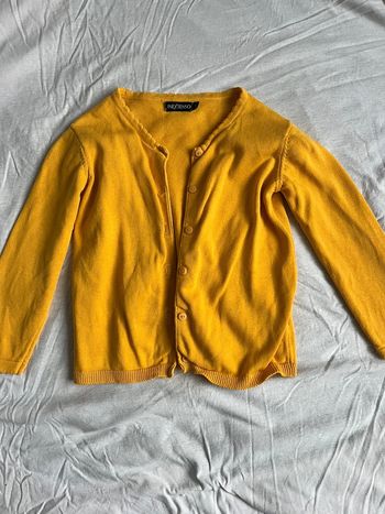 Gilet jaune