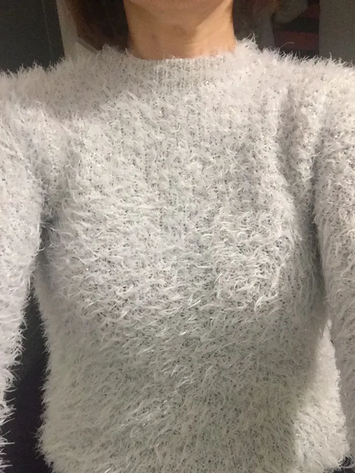 Pull doux gris brillant Jennyfer T36 - photo numéro 3