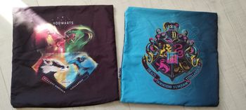 Housse de coussin Harry Potter