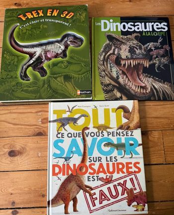 Lot livres sur les dinosaures 🦖
