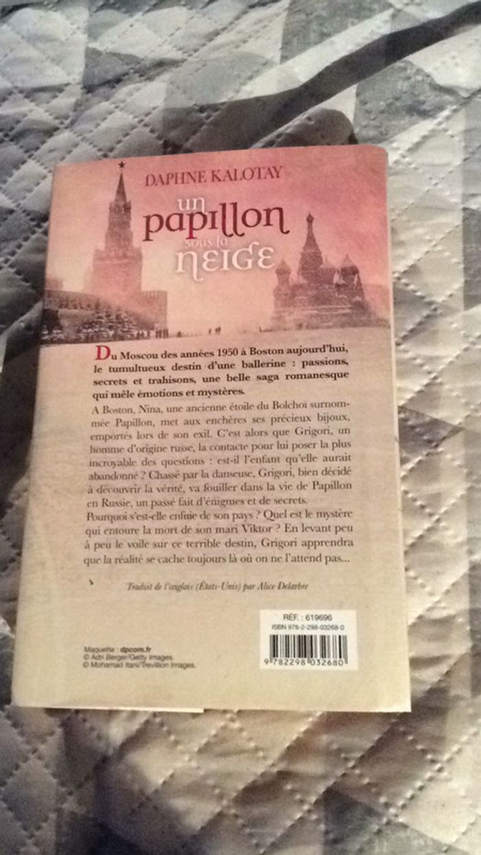 #un Papillon sous la neige par Daphnė Kalotay - photo numéro 4