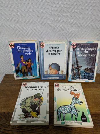 Lot de 5 livres édition castor poche
