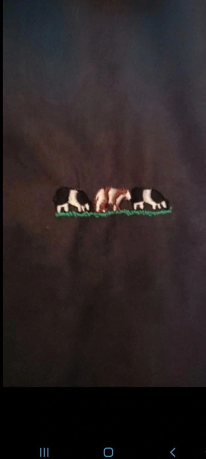 Superbe veste mise au Green état impeccable taille XL - photo numéro 3
