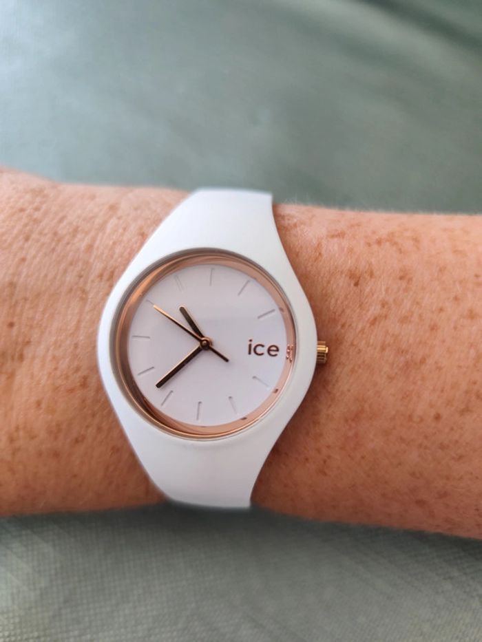 Montre ice swatch - photo numéro 3