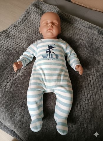 Pyjama a rayures loup