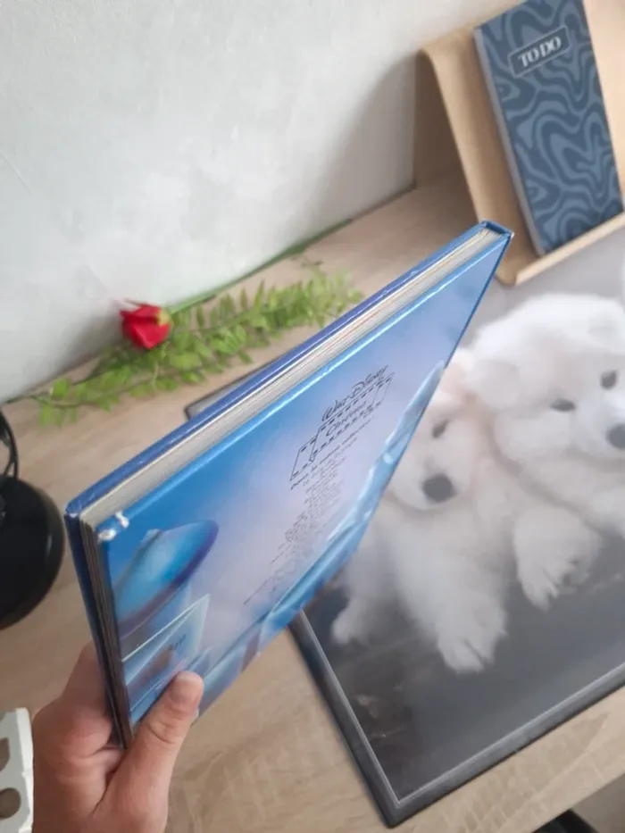 Livre Disney / Aladin - photo numéro 5