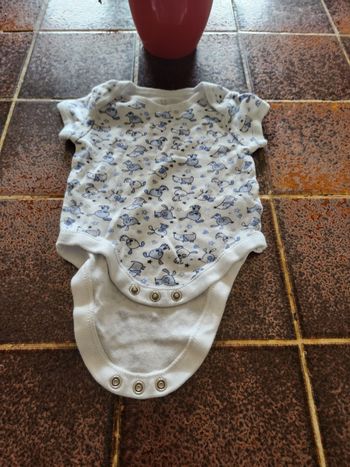 Body manches courtes