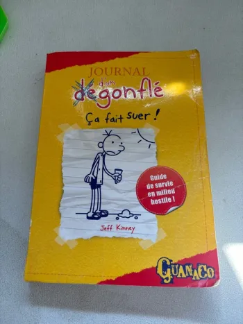 Livre journal d’un dégonflé tome 4