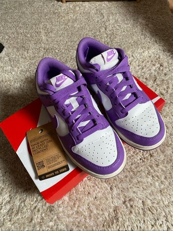Nike Dunk violet