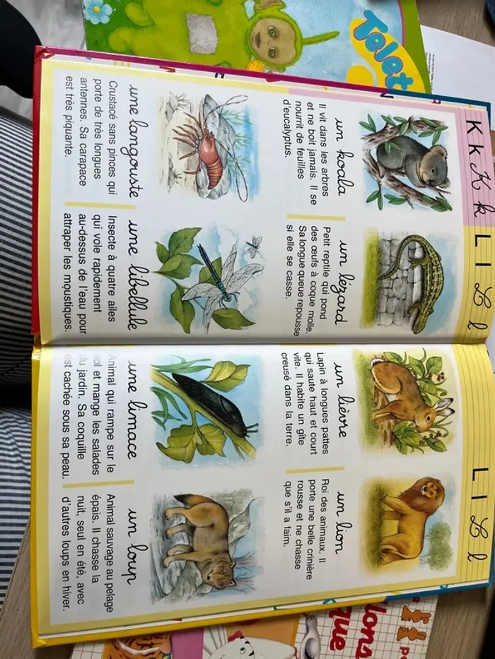 Lot livre enfants - photo numéro 5
