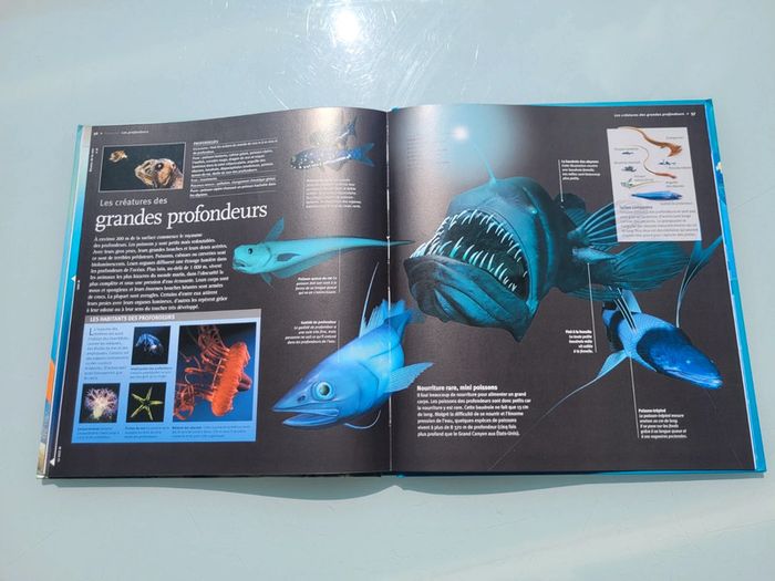 Livre Les Océans 🌊 à la loupe, éditions Larousse (48) - photo numéro 11