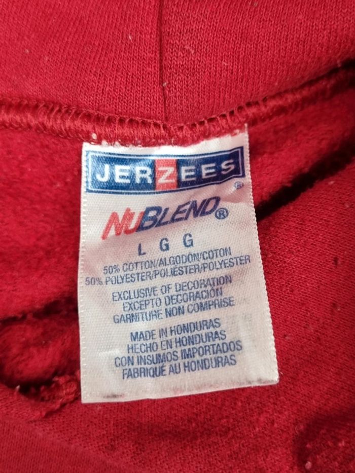 Pull à capuche universitaire Indiana Jerzees – Taille L Homme (mesures en photos) - photo numéro 5