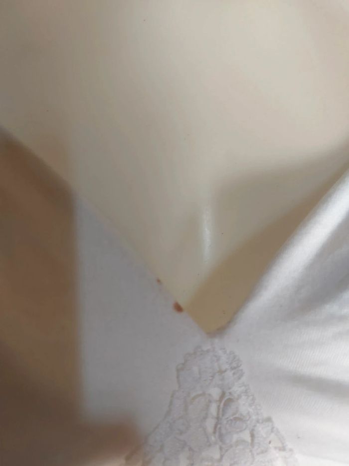 Soutien gorge allaitement variance - photo numéro 5