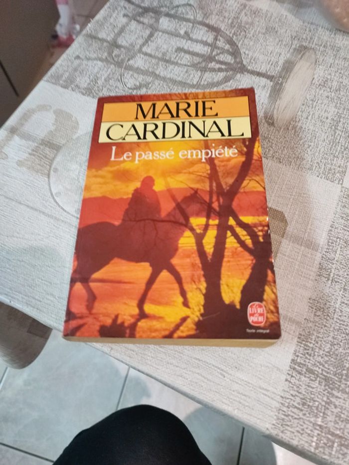 Le passé empiété de Marie cardinal - photo numéro 2