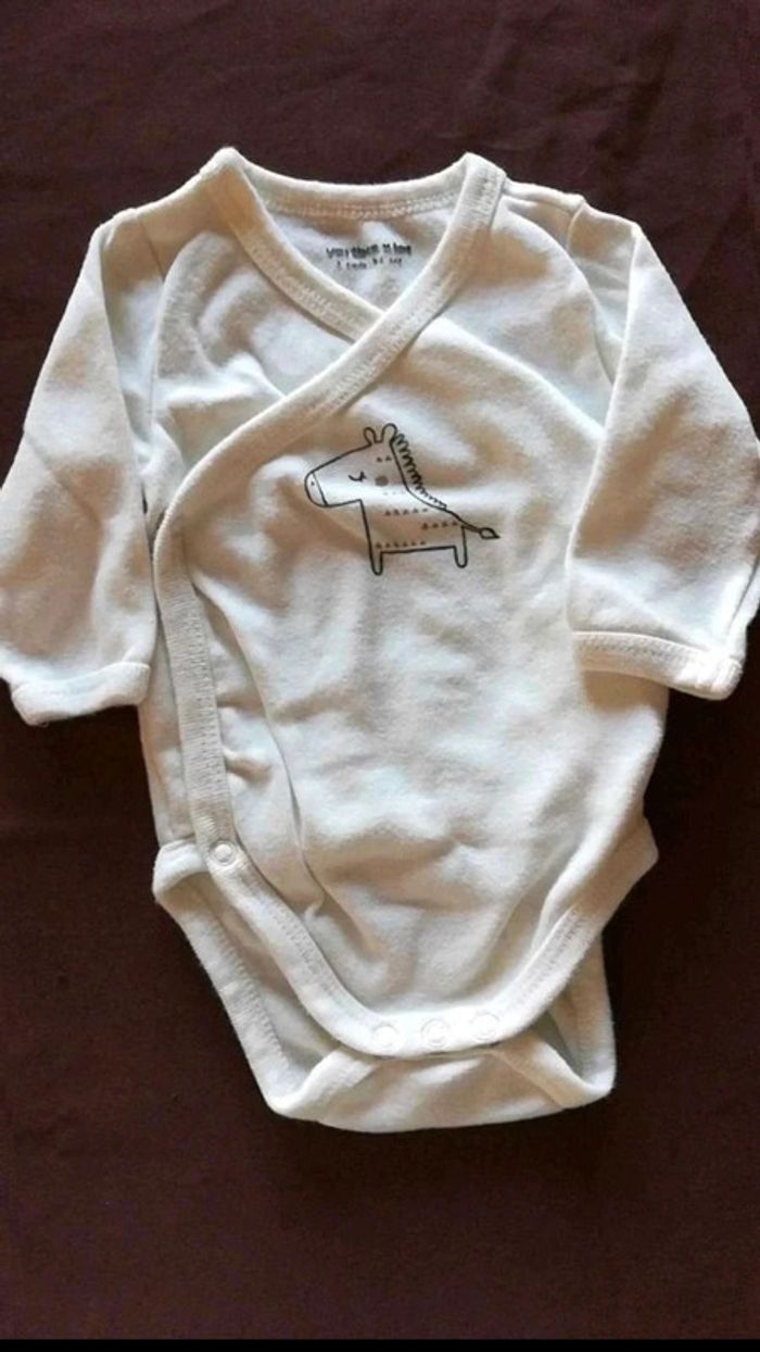 Body  cheval
