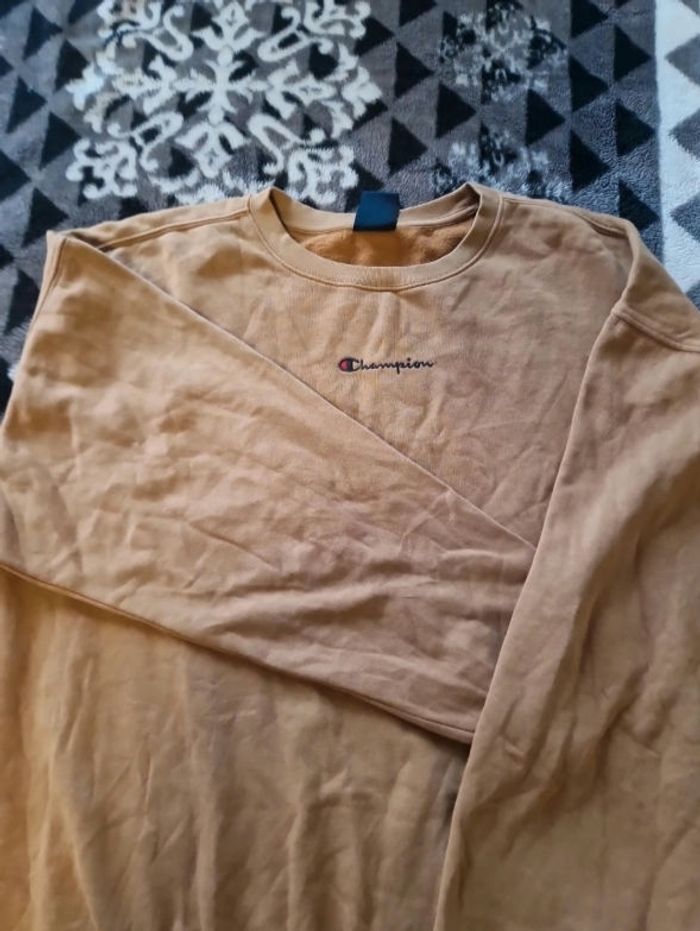 Pull Champion - photo numéro 2